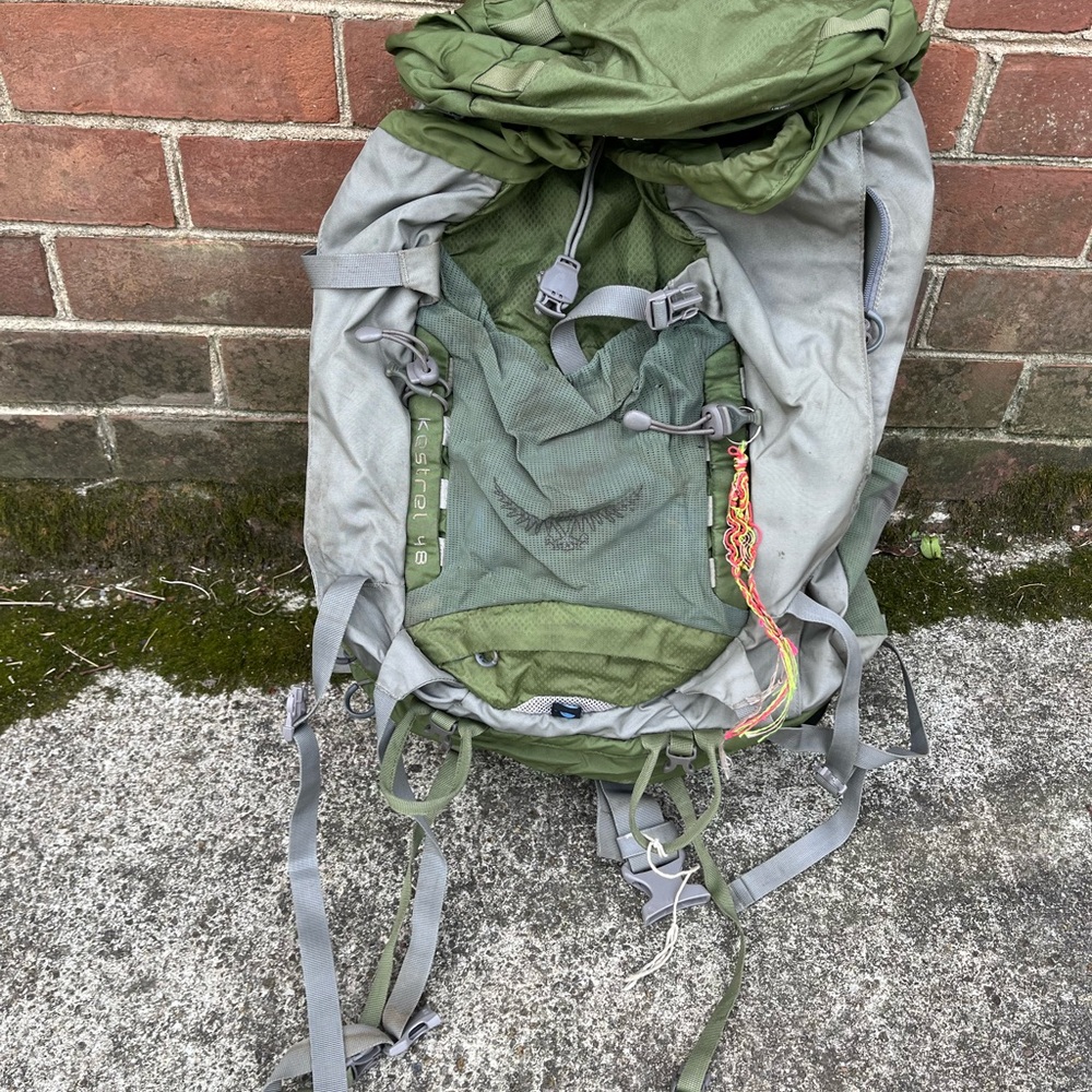 Green and Gray Backpack